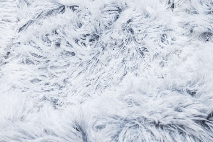 beeztees Orthopädisches Plüschbett Siba